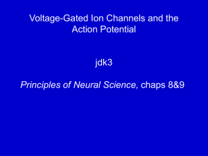 Voltage-Gated Ion Channels and the Action Potential jdk3 chaps 8&amp;9