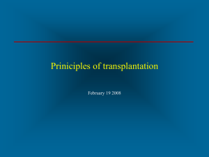 Priniciples of transplantation February 19 2008