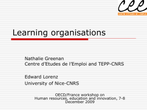 Learning organisations Nathalie Greenan Centre d’Etudes de l’Emploi and TEPP-CNRS Edward Lorenz