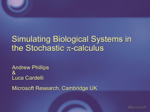 Simulating Biological Systems in the Stochastic -calculus p
