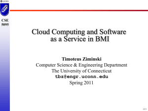 Cloud Computing and Software as a Service in BMI Timoteus Ziminski