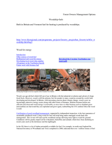 Forest Owners Management Options  Woodchip-fuels