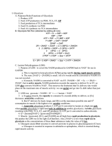 I. Glycolysis  A. Purposes/Roles/Functions of Glycolysis 1. Produce ATP