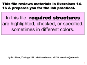In this file, are highlighted, checked, or specified, sometimes in different colors.