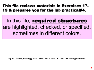 In this file, are highlighted, checked, or specified, sometimes in different colors.