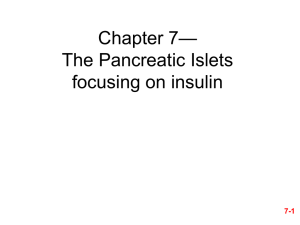 — Chapter 7 The Pancreatic Islets focusing on insulin