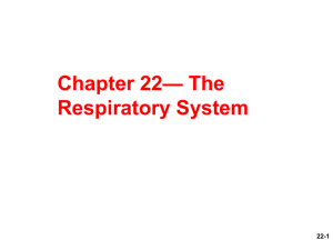 — The Chapter 22 Respiratory System 22-1
