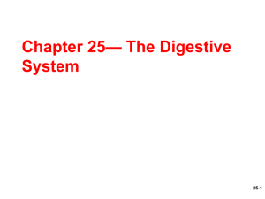 — The Digestive Chapter 25 System 25-1