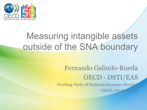 Measuring intangible assets outside of the SNA boundary Fernando Galindo-Rueda OECD - DSTI/EAS