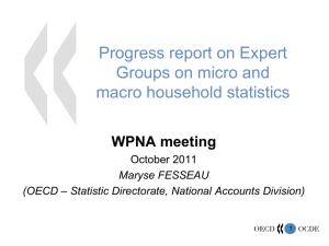 Progress report on Expert Groups on micro and macro household statistics WPNA meeting