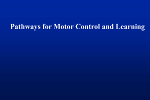 Pathways for Motor Control and Learning