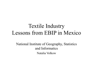 Textile Industry Lessons from EBIP in Mexico National Institute of Geography, Statistics