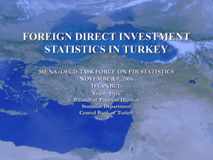 FOREIGN DIRECT INVESTMENT STATISTICS IN TURKEY MENA/OECD TASK FORCE ON FDI STATISTICS