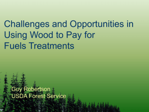 Challenges and Opportunities in Using Wood to Pay for Fuels Treatments Guy Robertson