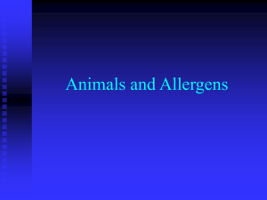 Animals and Allergens