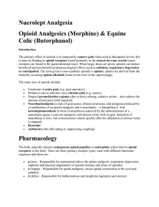 Nuerolept Analgesia Opioid Analgesics (Morphine) &amp; Equine Colic (Butorphanol)