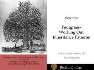 Pedigrees- Working Out Inheritance Patterns Heredity: