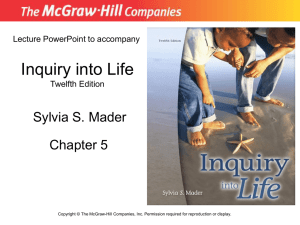 Inquiry into Life Sylvia S. Mader Chapter 5 Lecture PowerPoint to accompany