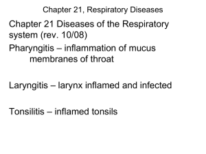 Chapter 21 Diseases of the Respiratory system (rev. 10/08) Pharyngitis