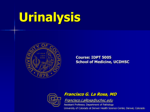 Urinalysis Francisco G. La Rosa, MD  Course: IDPT 5005