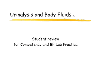 Urinalysis and Body Fluids Student review for Competency and BF Lab Practical CRg