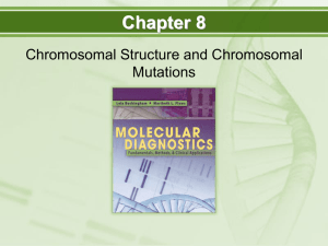 Chapter 8 Chromosomal Structure and Chromosomal Mutations