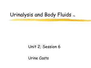 Urinalysis and Body Fluids Unit 2; Session 6 Urine Casts CRg
