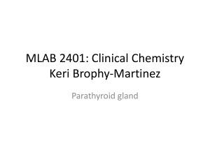 MLAB 2401: Clinical Chemistry Keri Brophy-Martinez Parathyroid gland