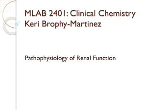 MLAB 2401: Clinical Chemistry Keri Brophy-Martinez Pathophysiology of Renal Function