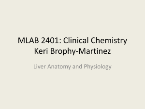 MLAB 2401: Clinical Chemistry Keri Brophy-Martinez Liver Anatomy and Physiology