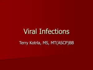 Viral Infections Terry Kotrla, MS, MT(ASCP)BB