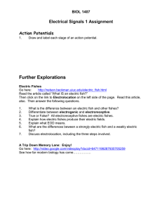 Further Explorations Electrical Signals 1 Assignment Action Potentials