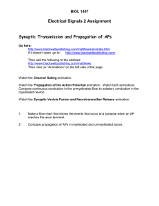 Electrical Signals 2 Assignment  Synaptic Transmission and Propagation of APs BIOL 1407