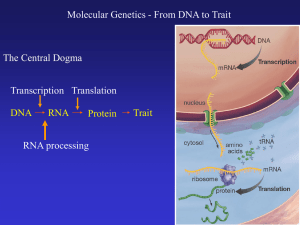 DNA Trait RNA Protein