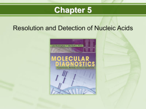 Chapter 5 Resolution and Detection of Nucleic Acids