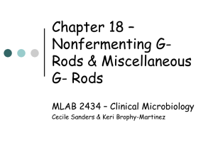 Chapter 18 – Nonfermenting G- Rods &amp; Miscellaneous G- Rods