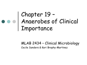 Chapter 19 – Anaerobes of Clinical Importance MLAB 2434 – Clinical Microbiology