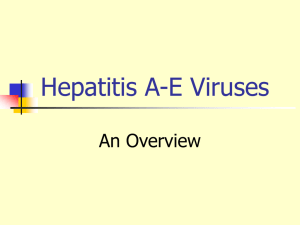 Hepatitis A-E Viruses An Overview