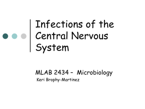 Infections of the Central Nervous System MLAB 2434 – Microbiology