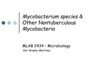 Mycobacterium species Mycobacteria Other Nontuberculous MLAB 2434 – Microbiology