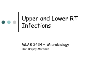 Upper and Lower RT Infections MLAB 2434 – Microbiology Keri Brophy-Martinez