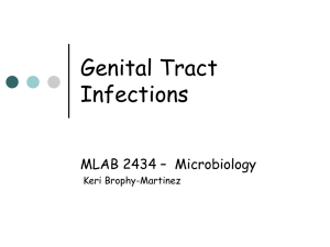 Genital Tract Infections MLAB 2434 – Microbiology Keri Brophy-Martinez