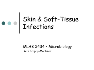 Skin &amp; Soft-Tissue Infections MLAB 2434 – Microbiology Keri Brophy-Martinez
