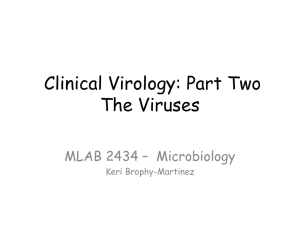 Clinical Virology: Part Two The Viruses MLAB 2434 – Microbiology Keri Brophy-Martinez
