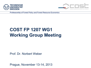 COST FP 1207 WG1 Working Group Meeting Prof. Dr. Norbert Weber