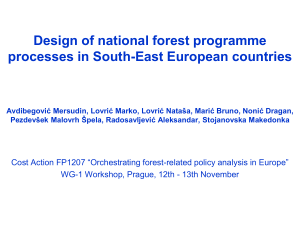 Design of national forest programme processes in South-East European countries