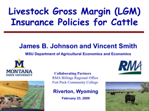 Livestock Gross Margin (LGM) Insurance Policies for Cattle Riverton, Wyoming