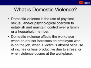 What is Domestic Violence?