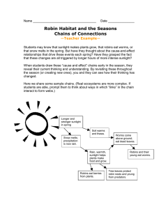 Robin Habitat and the Seasons Chains of Connections  —Teacher Example—