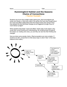 Hummingbird Habitat and the Seasons Chains of Connections  —Teacher Example—
